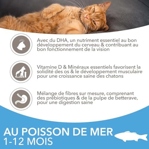 IAMS Advanced Nutrition Chaton Poisson de l'Océan 3 kg