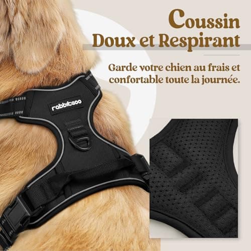 Harnais Anti-Traction rabbitgoo avec Poignée - Taille L