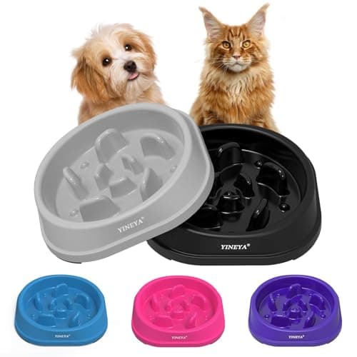 Gamelle Anti Glouton YINEYA Chat et Petit Chien x2
