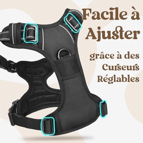 Harnais rabbitgoo 3 Boucles Anti-Traction - Taille L