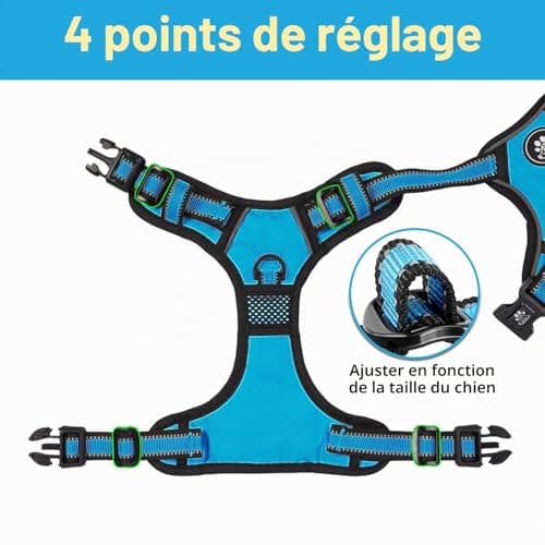 Harnais NESTROAD Anti-Traction avec Laisse - Taille M