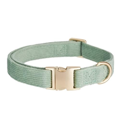Collier YUDOTE DCLCDY-SG-L velours côtelé peau sensible