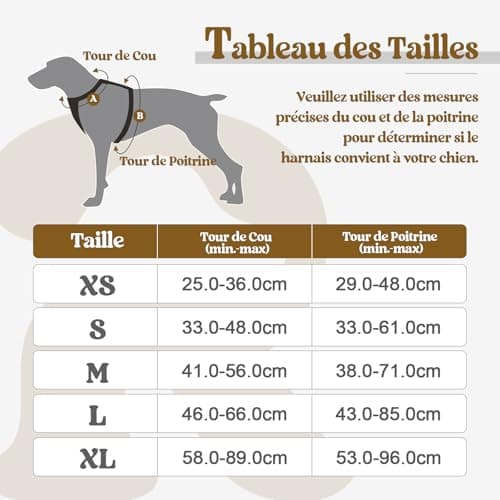 Harnais Anti-Traction rabbitgoo avec Poignée - Taille L