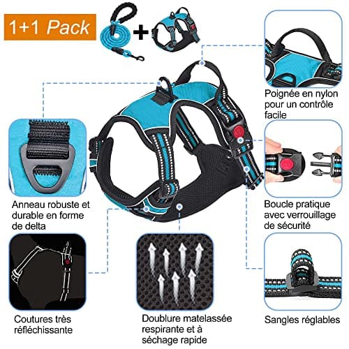 Harnais Anti-Traction haapaw avec Laisse Incluse