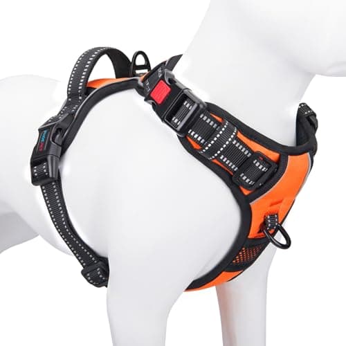 Harnais Anti-Traction PHOEPET 3 Boucles - Taille M