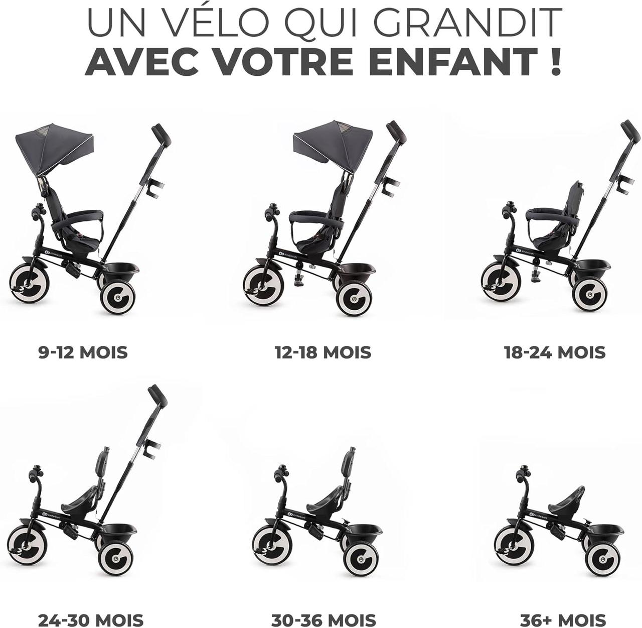 Tricycle Évolutif Kinderkraft Aston