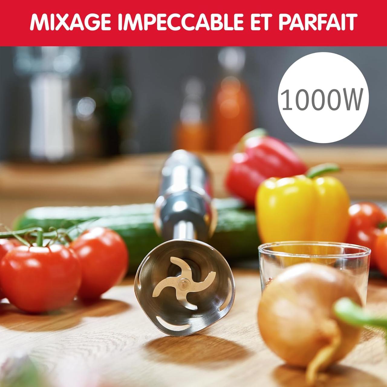 Moulinex Quickchef DD65H810 - Pied Mixeur Puissant 1000W
