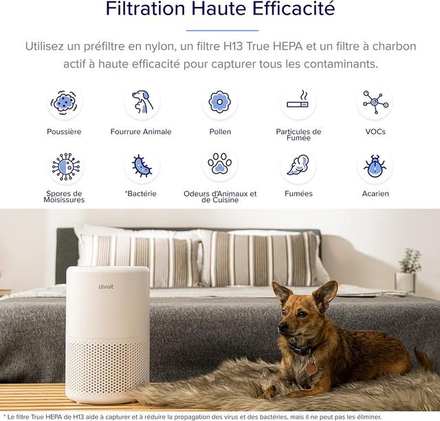 Purificateur d'Air LEVOIT Core 200S